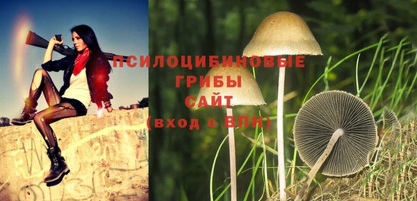 кокс Алексеевка